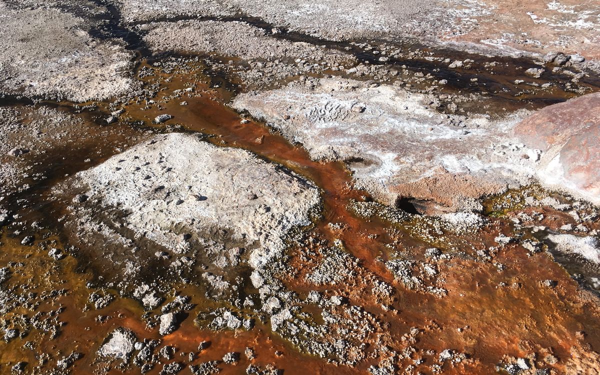 Orange microbial mats in a hot-spring outflow at El Tatio, Chile