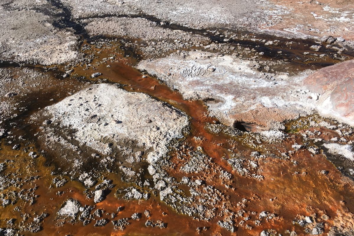Orange microbial mats over white sinter at El Tatio
