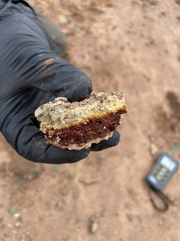 Gloved hand holding a layered, hydrothermally altered rock sample
