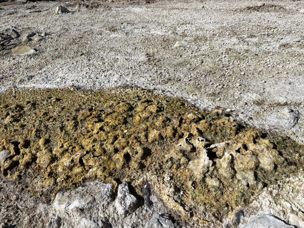 Green crusted terraces edged by pale altered rock