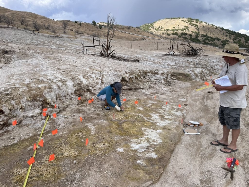 Field team kneeling to sample within a grid of orange flags on pale altered ground
